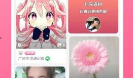 仙鱼最新爆料视频播放下载,视频播放下载攻略全解析